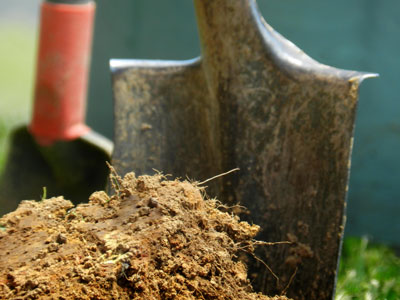 A shovel digs into fresh dirt.