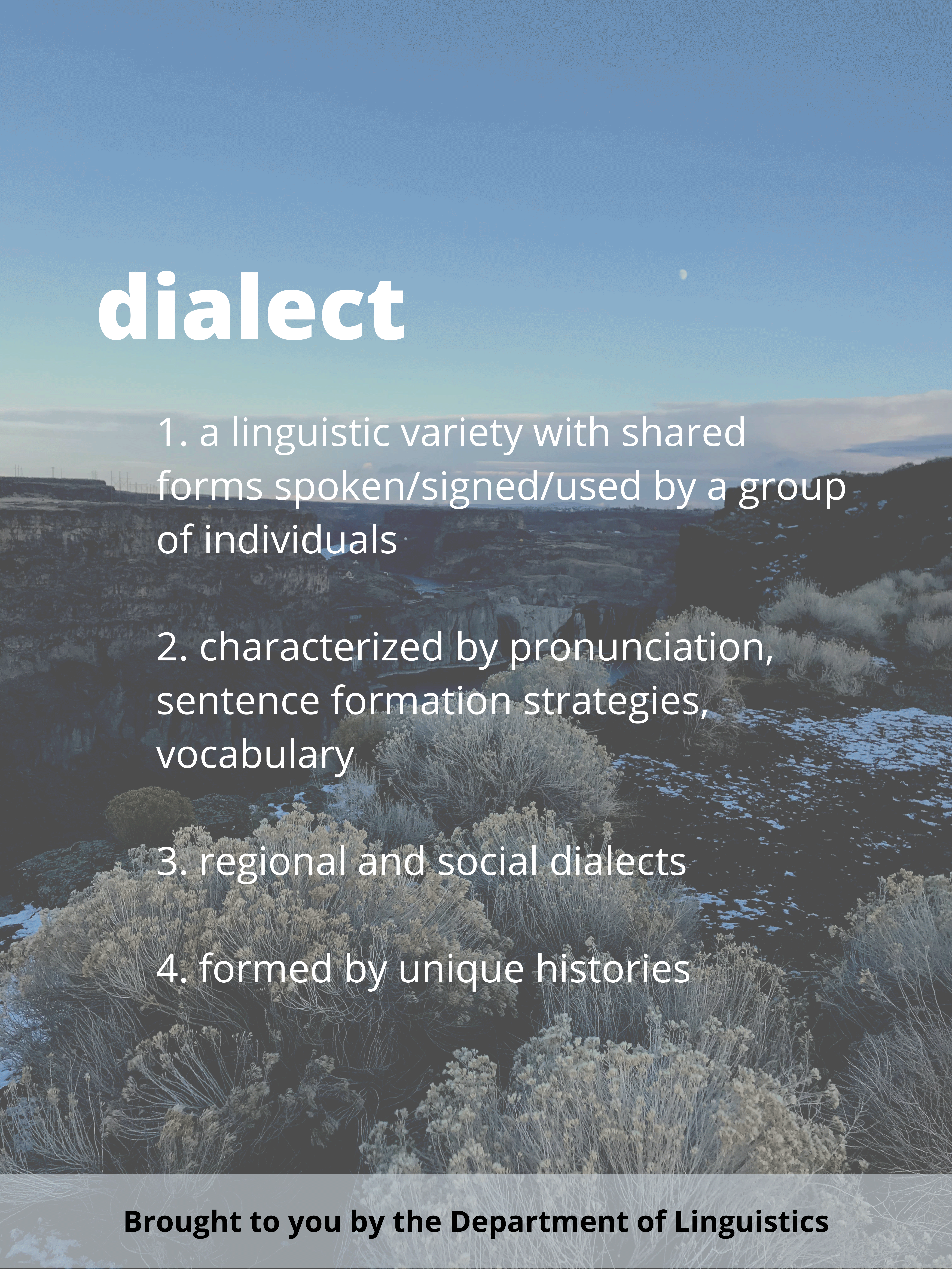 Linguistics Poster. Definition of 'dialct.' See page for full description.