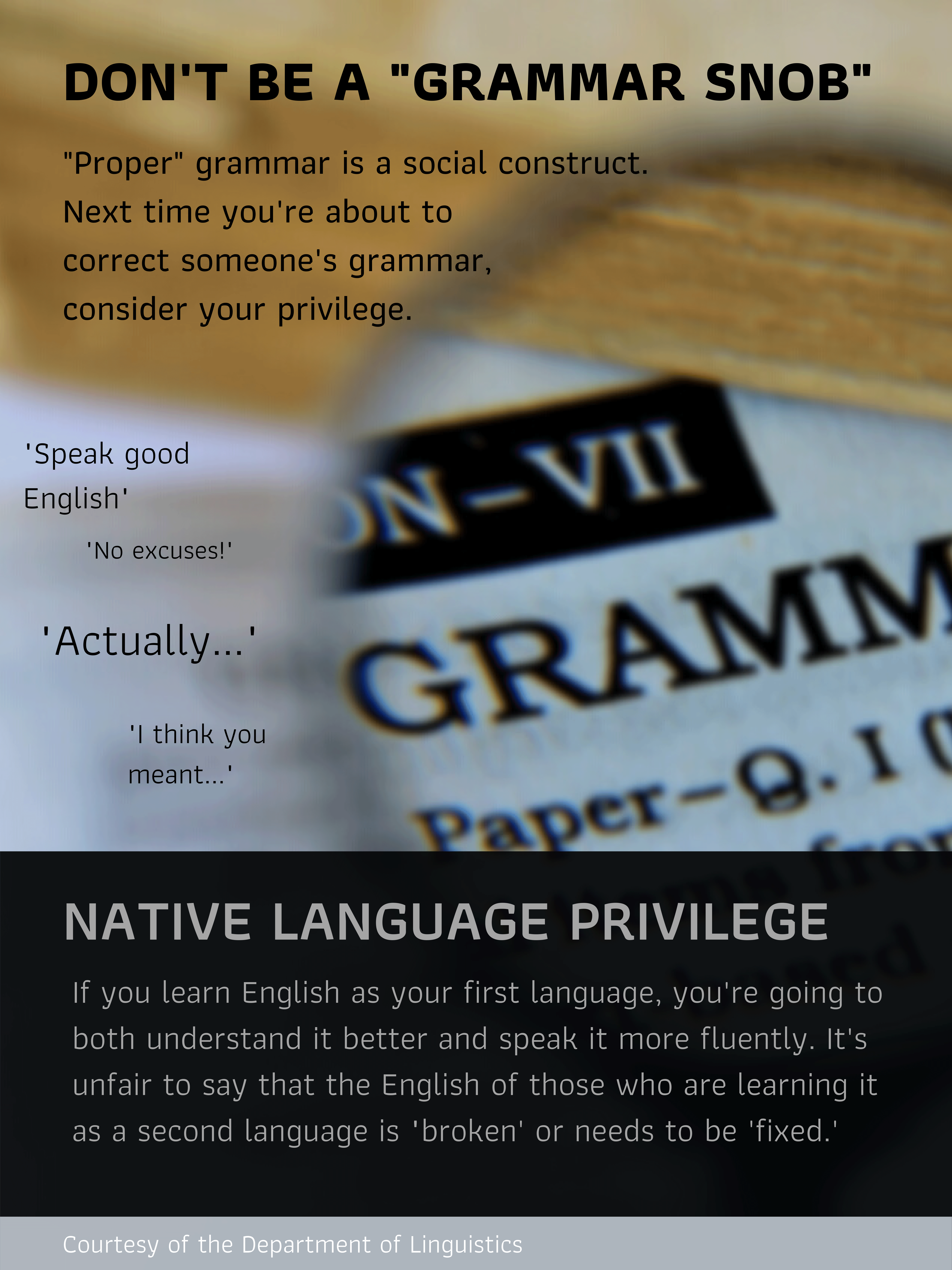 Linguistics Poster. Don't be a "grammar snob". See webpage for full description.