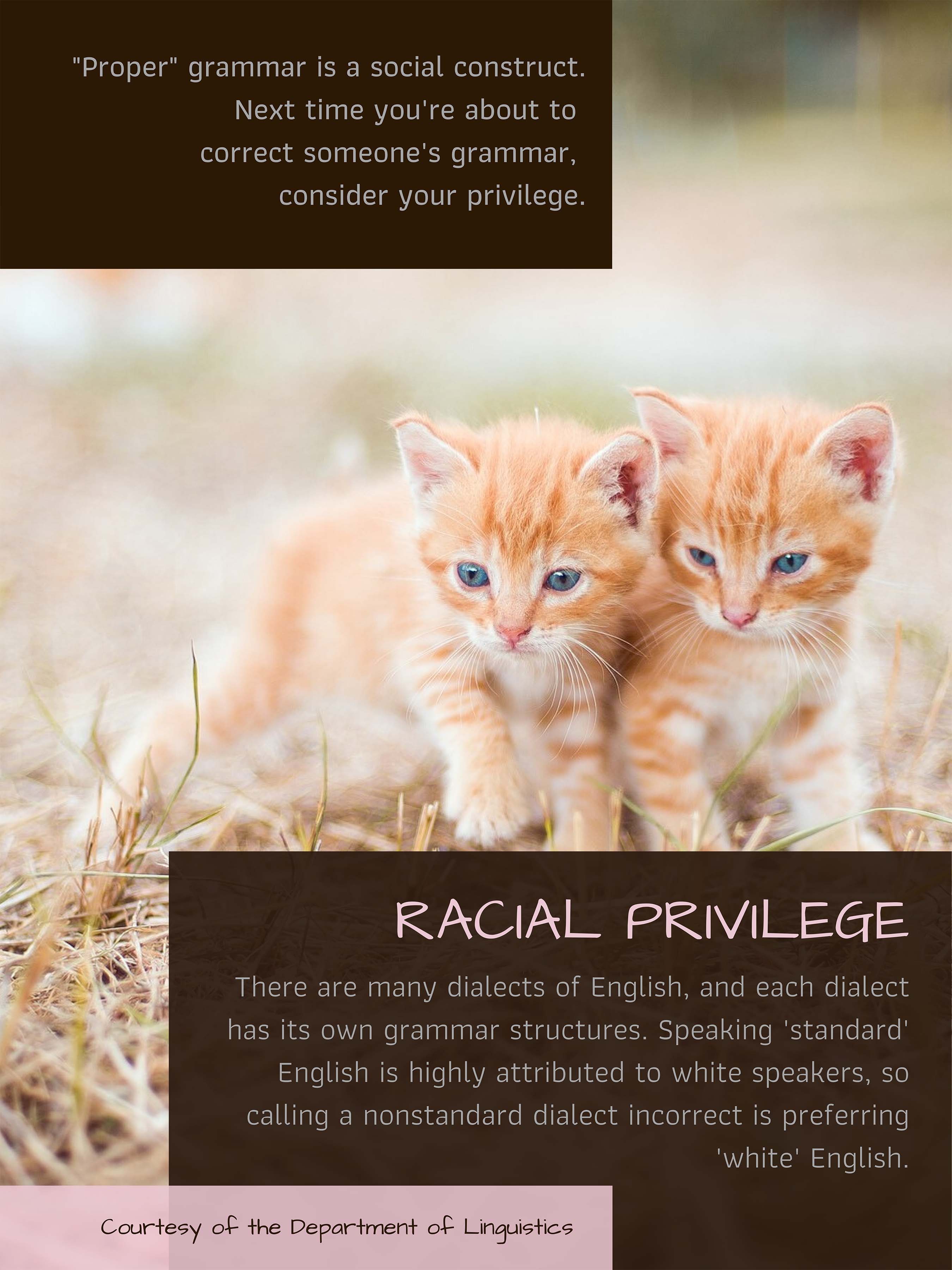 "Proper Grammar" is a social construct. Consider your racial privilege. Click on image for full description.