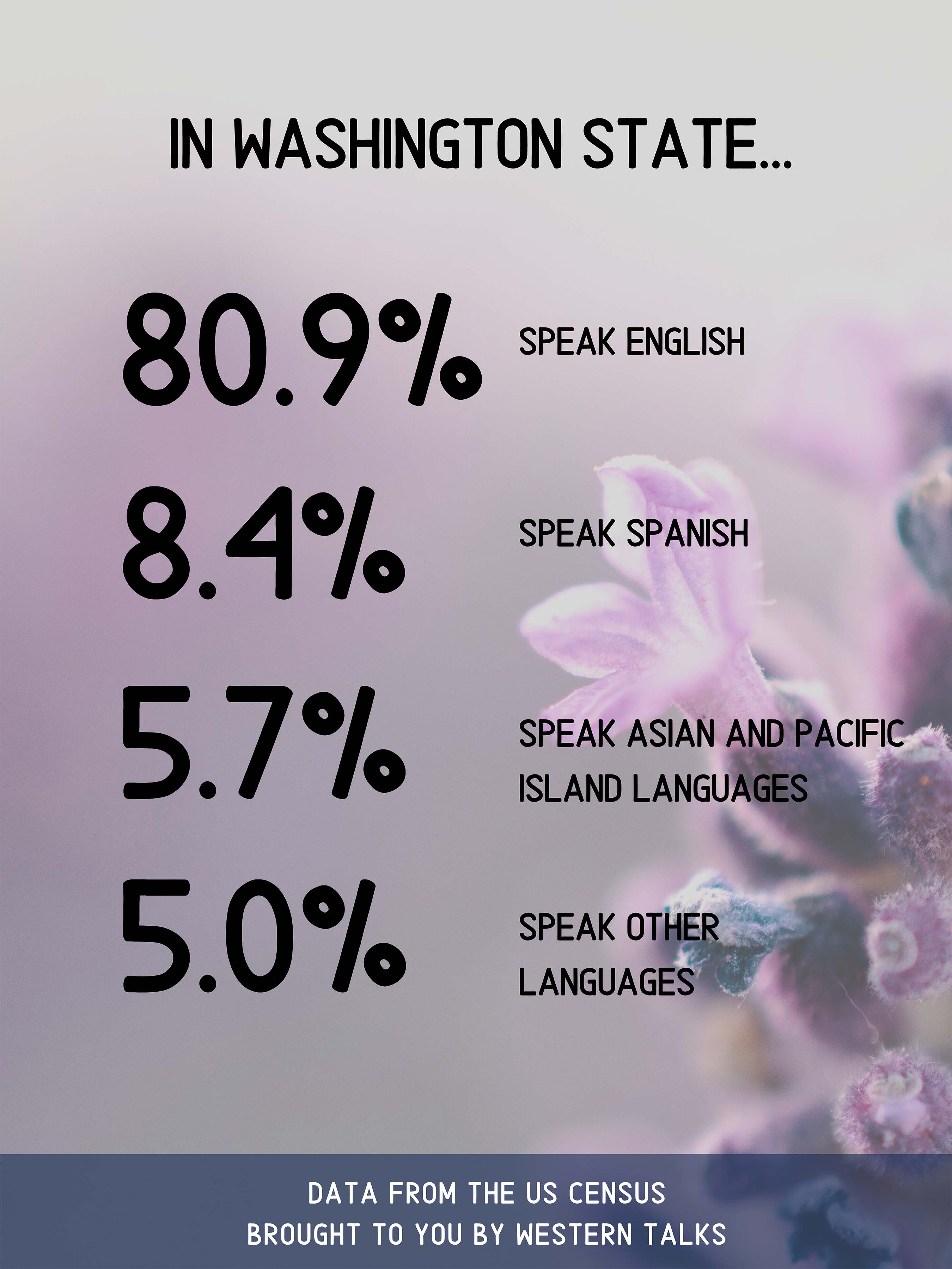 Shows percentage of people who speak certain languages in Washington State. Click on image for full description.