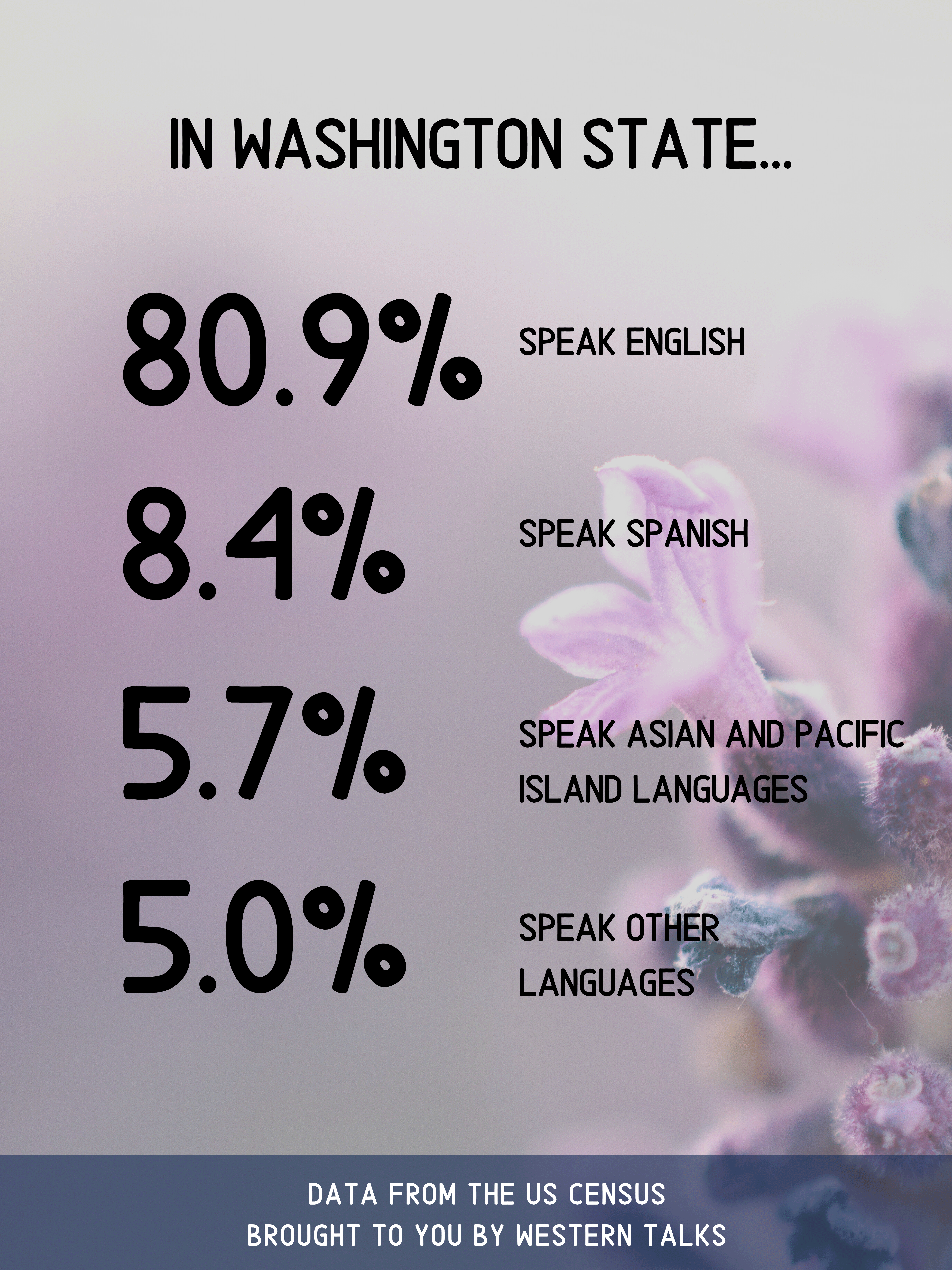 Linguistics Poster. Shows percentage of people who speak certain languages in Washington State. See webpage for full description.