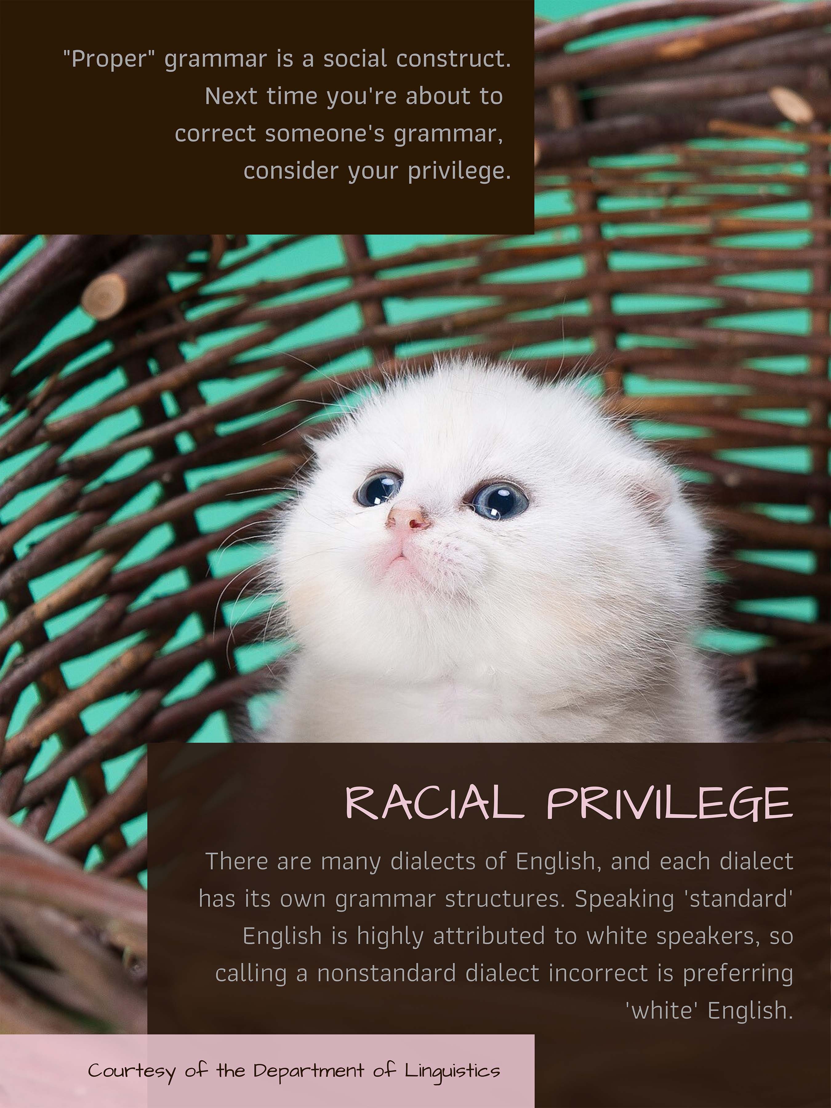 "Proper" grammar is a social construct. Consider your racial privilege. Click on image for full description.