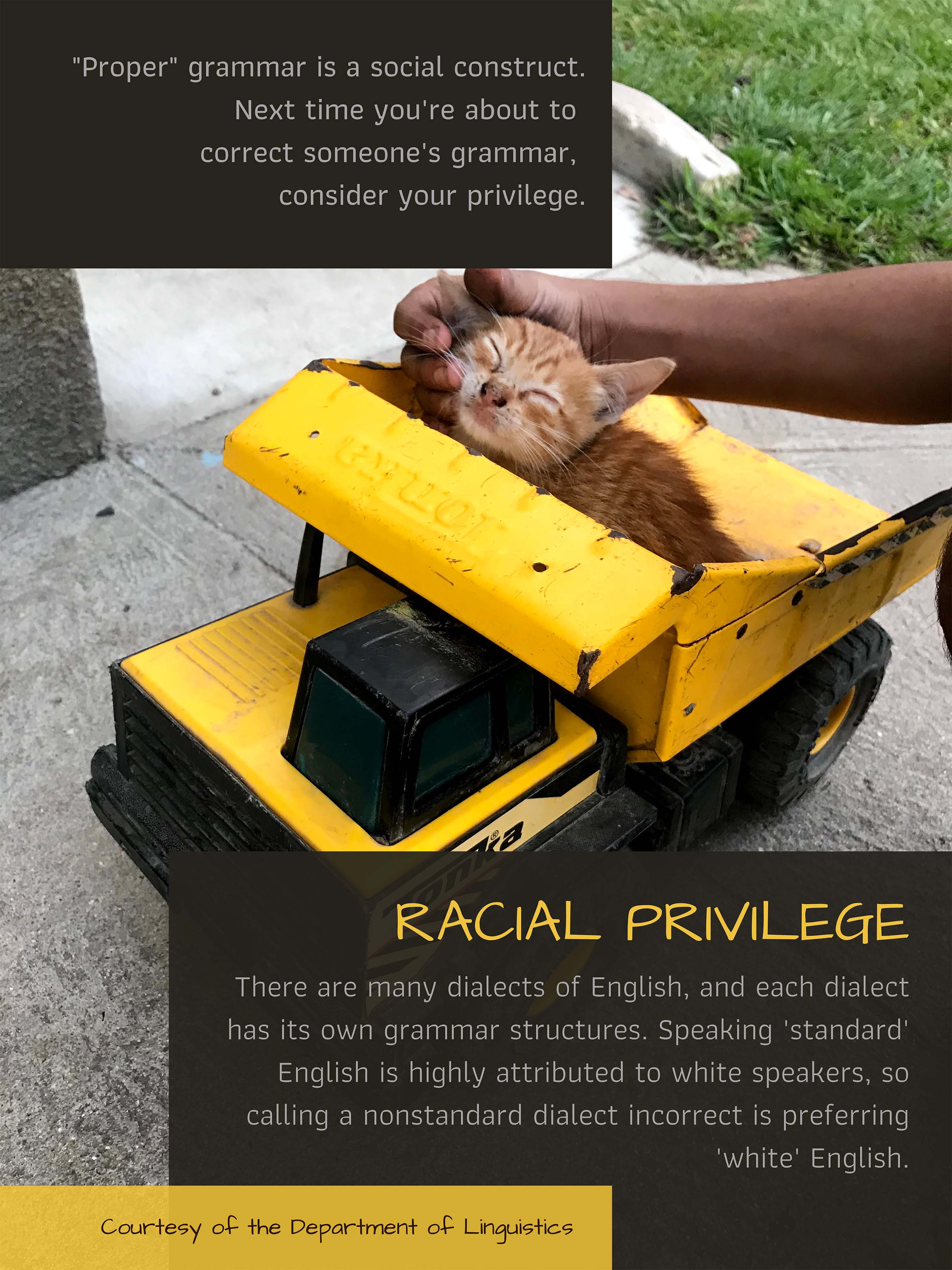 Don't be a grammar snob. Consider your racial privilege. Click on image for full description.