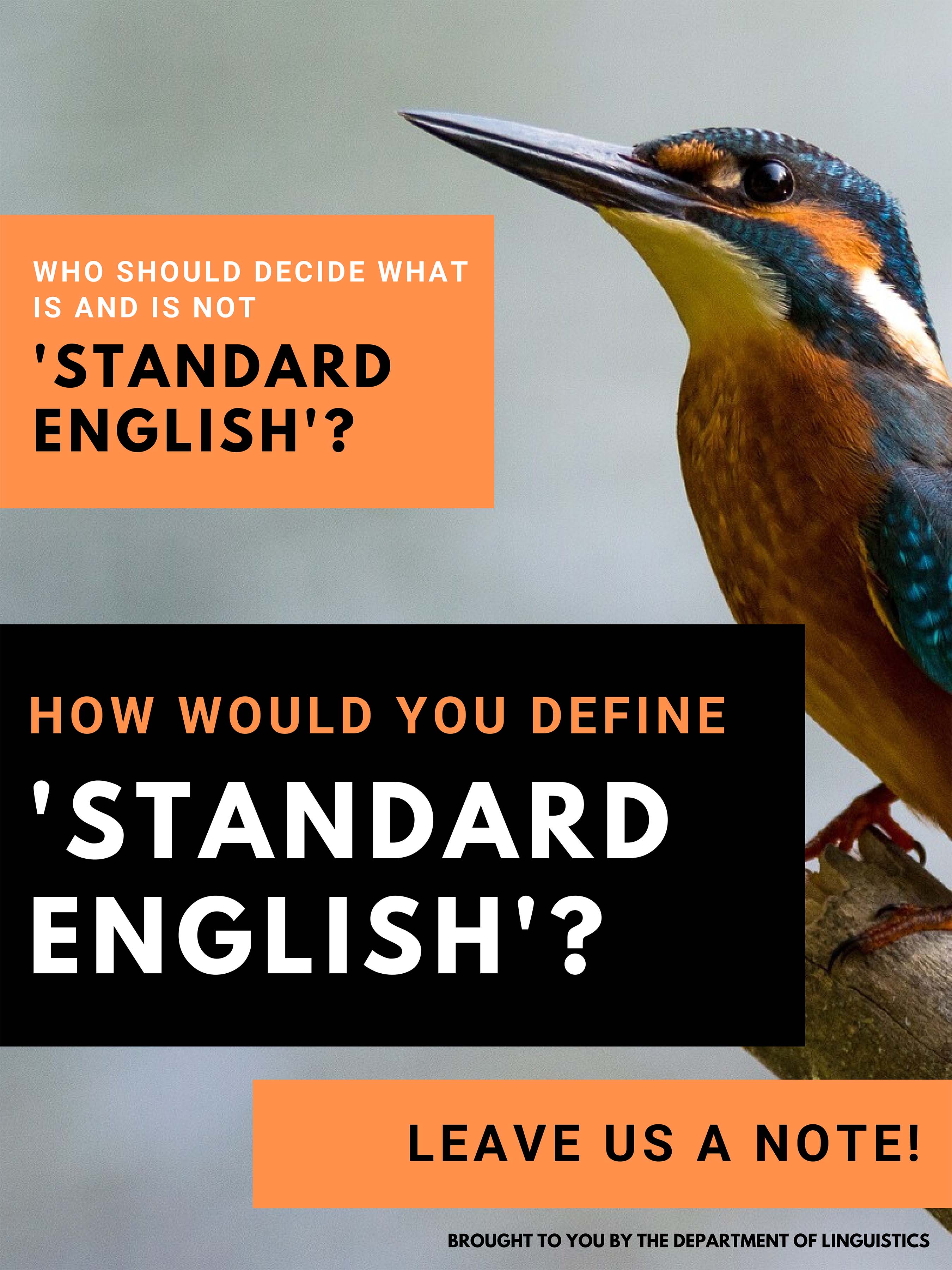 Who should decide what is and is not 'standard English'? Click on image to see full description.