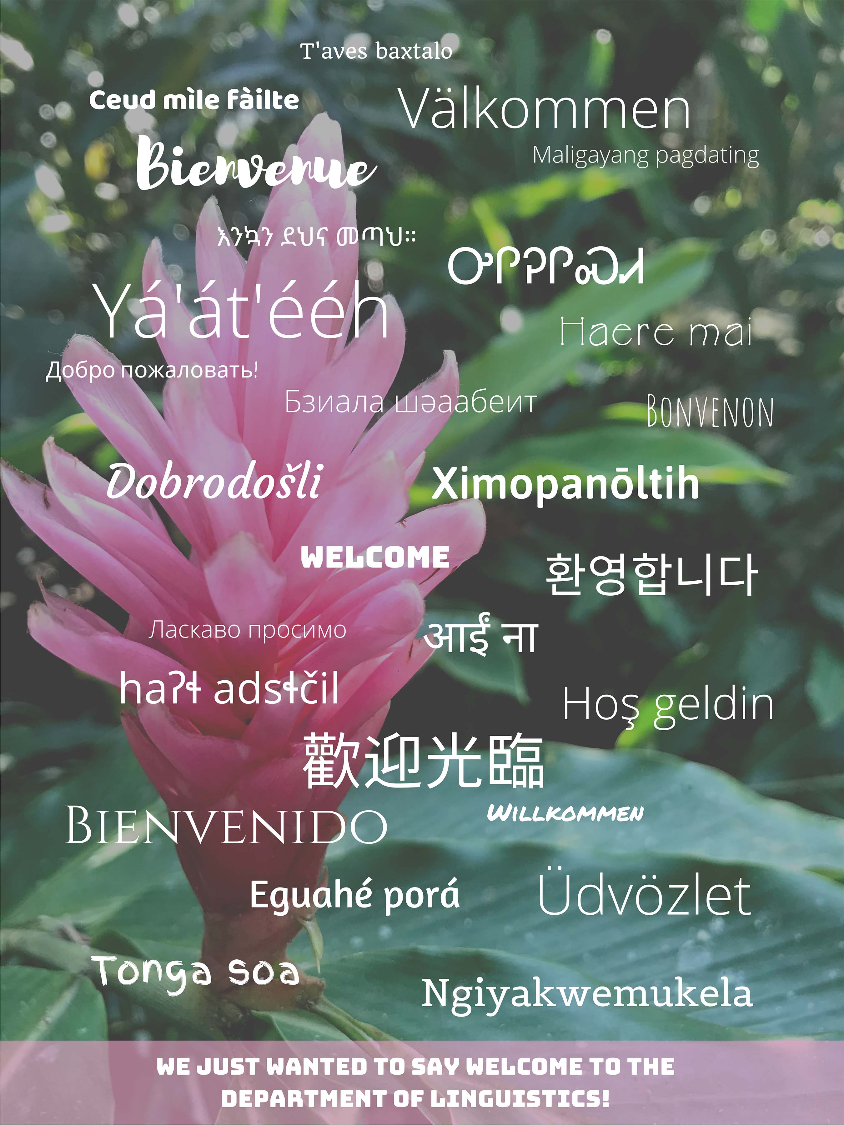 "Welcome" in several different languages. Click to see full description.