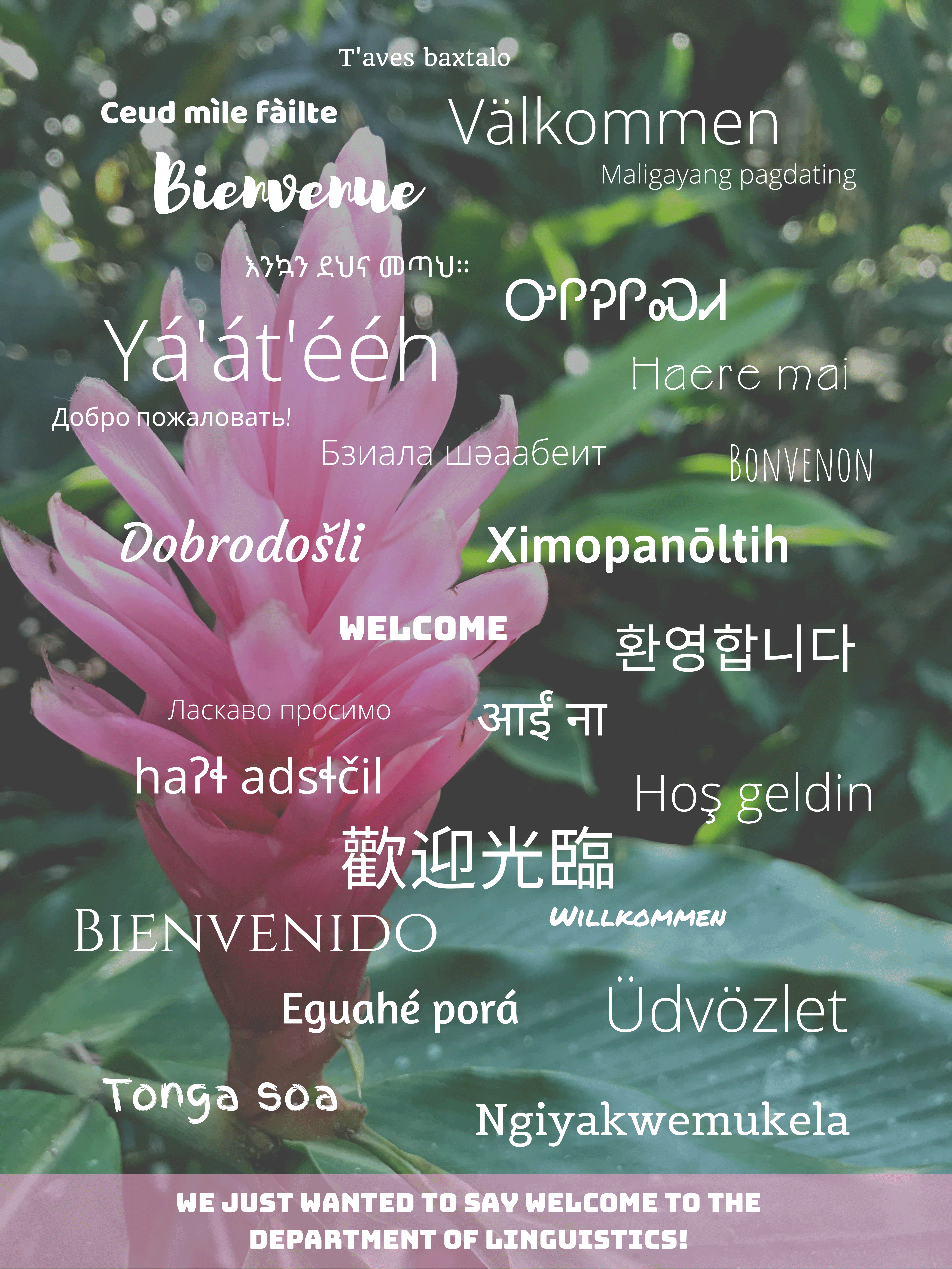 Linguistics Poster. "Welcome" in several different languages. See webpage for full description.
