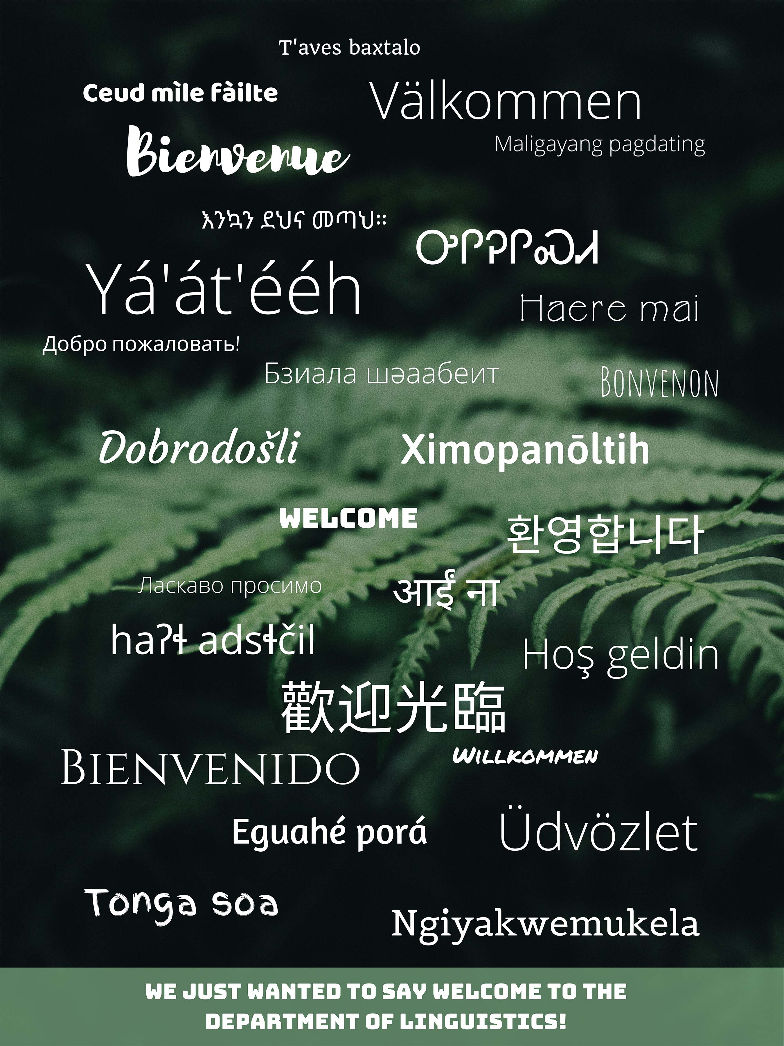 "Welcome" in several different languages. Click to see full description.