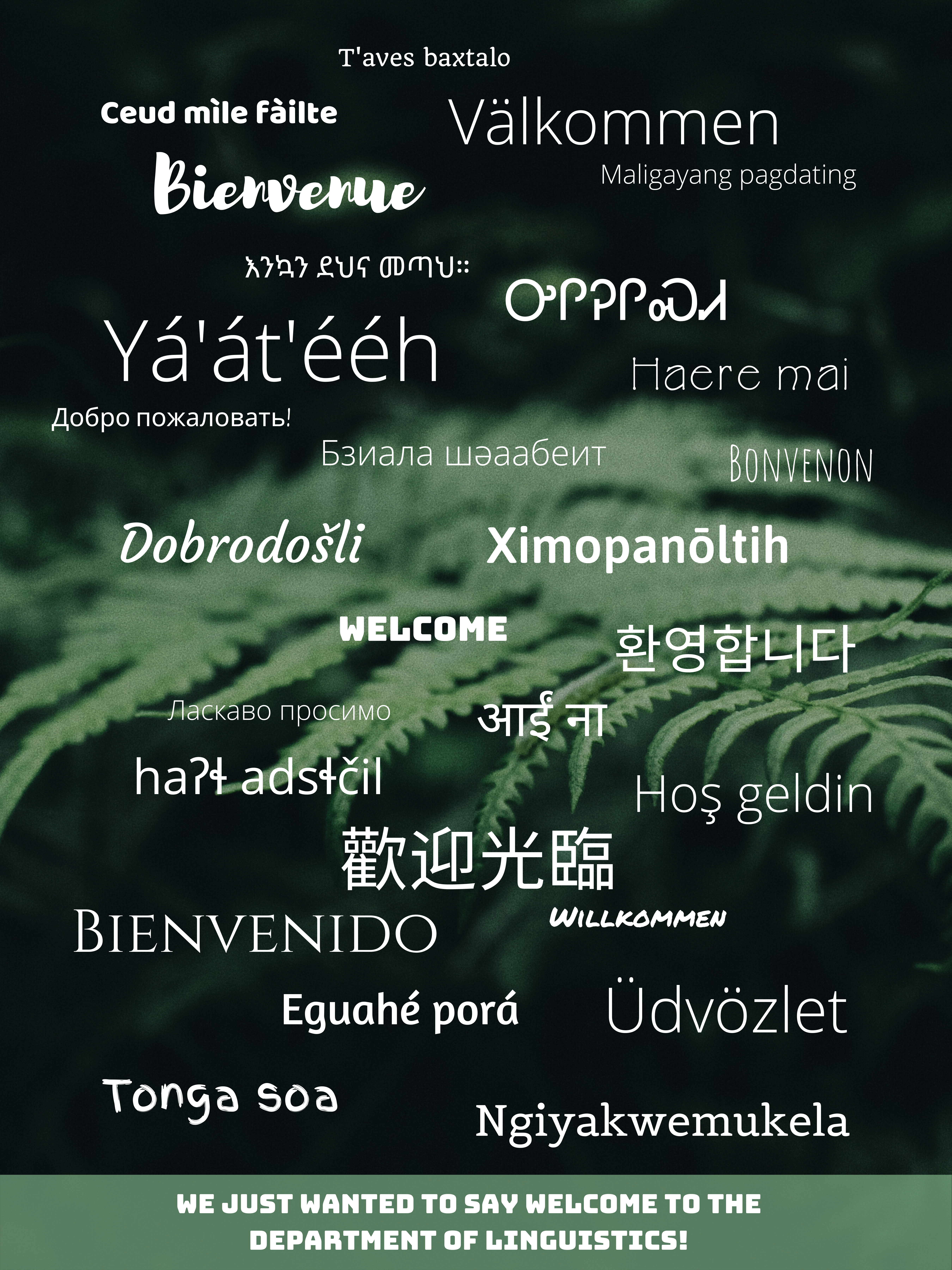 Linguistics Poster. "Welcome" in several different languages. See webpage for full description.