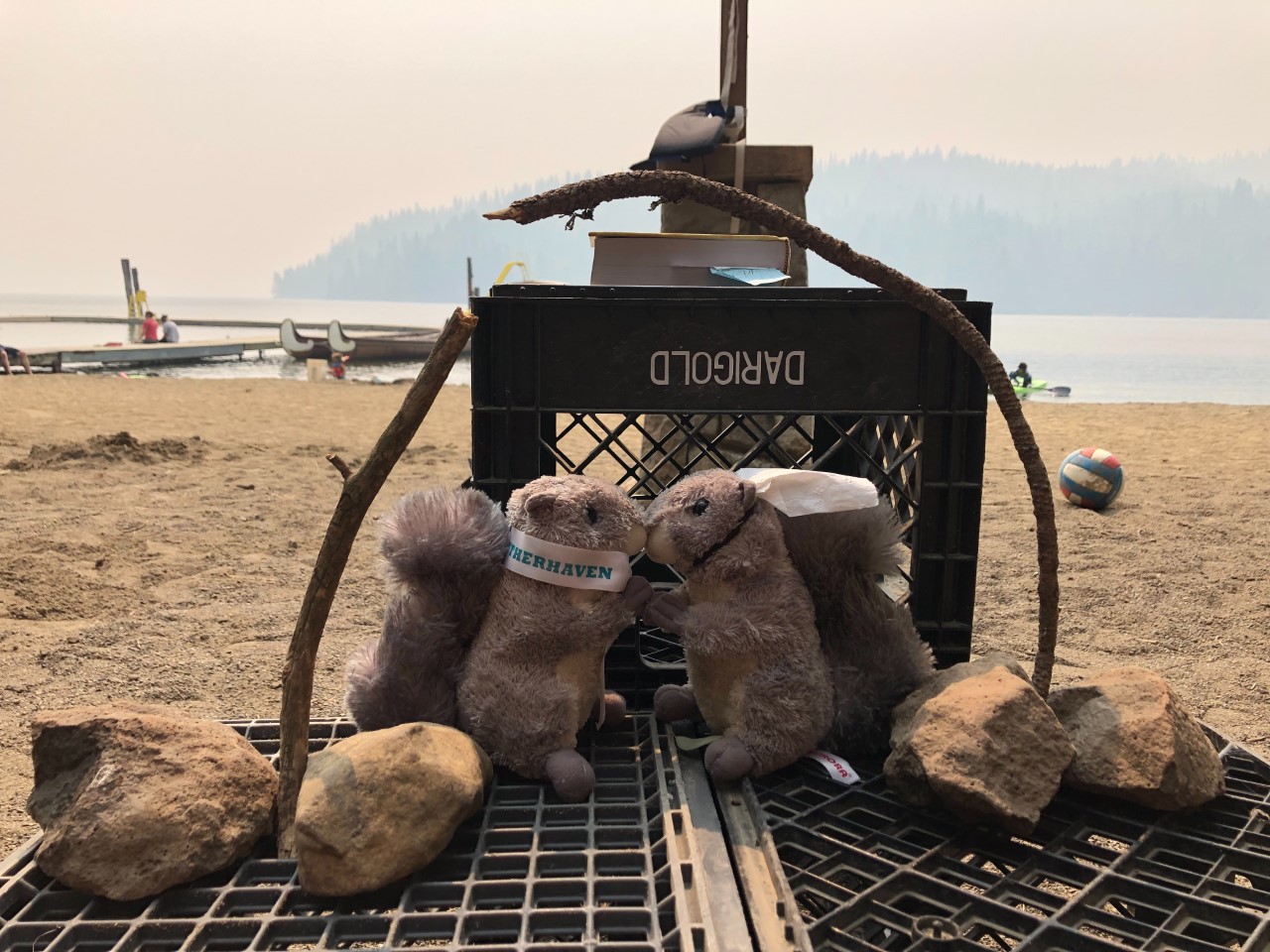 two stuffed animal squirrels kissing on a milk crate on the beach