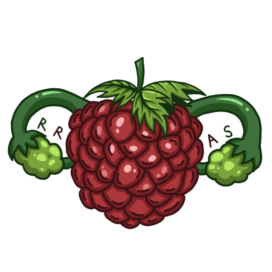 Raspberry logo for RRAS