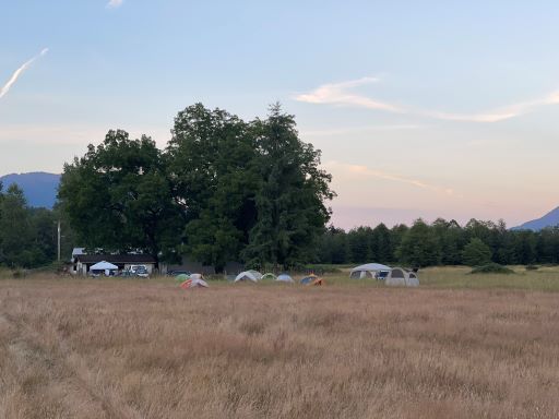 several tents in an expansive field near a few deciduous trees