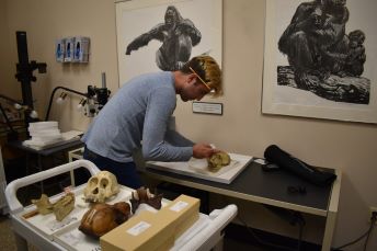 Jack choosing primate skull samples to scan