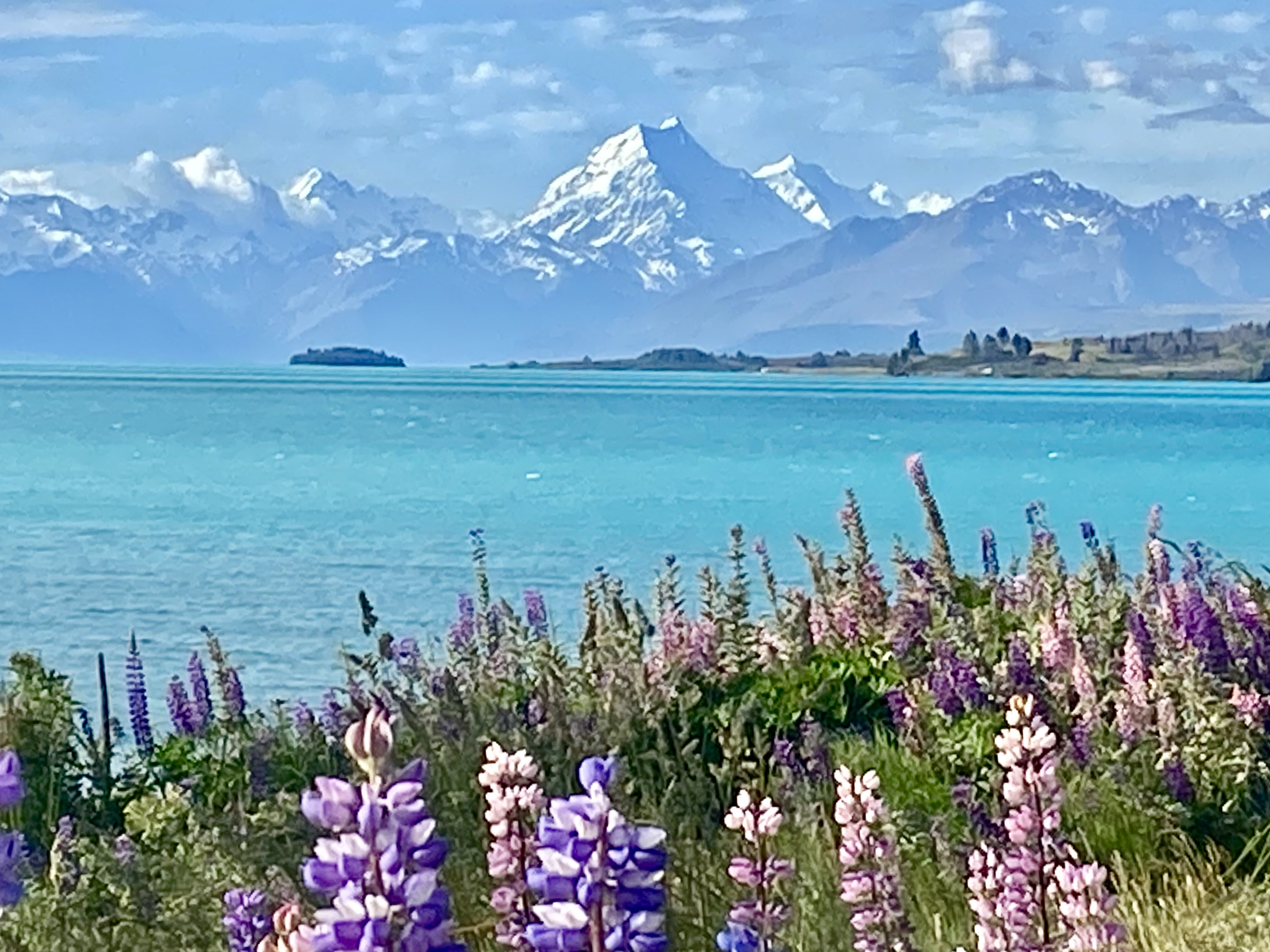 Landscape picture of mountains, water and flowers