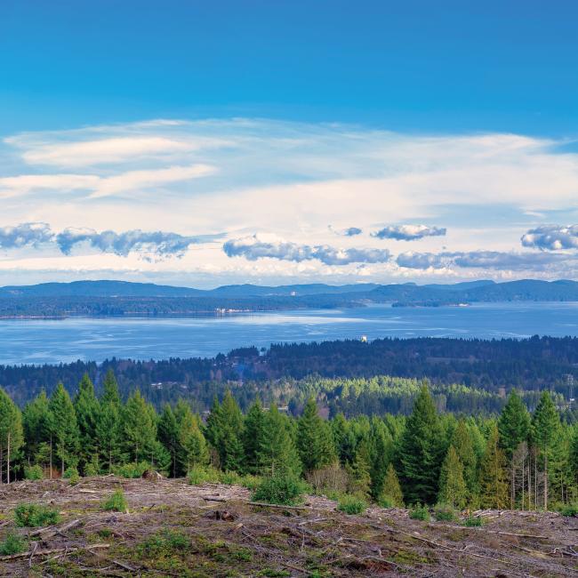 Panoramic view of Ladysmith shoreline from top of a mountain, Vancouver Island, BC, Canada. Photo by roxxyphotos. 