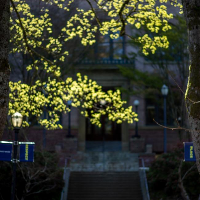 Stairs leading to campus building Old Main with foliage