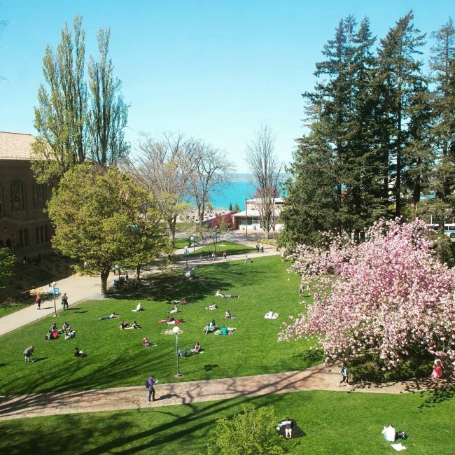 Western Washington University in the spring