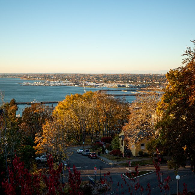 Bellingham Bay view from Western campus with brown, orange, and green trees surrounding the water.