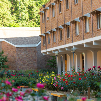 The Humanities building next to a blooming rose garden.