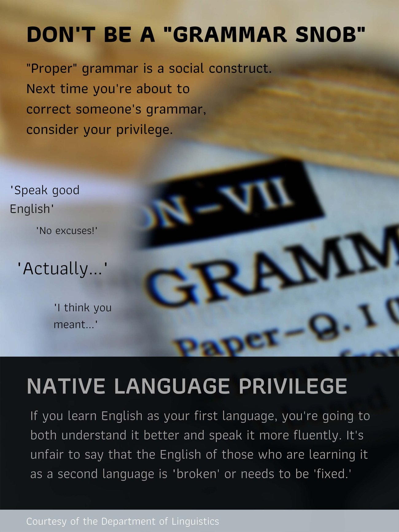 Don't be a grammar snob. Consider your native language privilege. Click on image for full description.