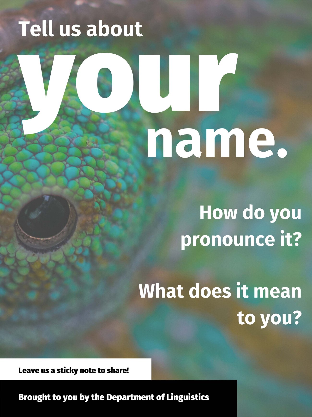 Tell us about your name. Click on image to see full description.
