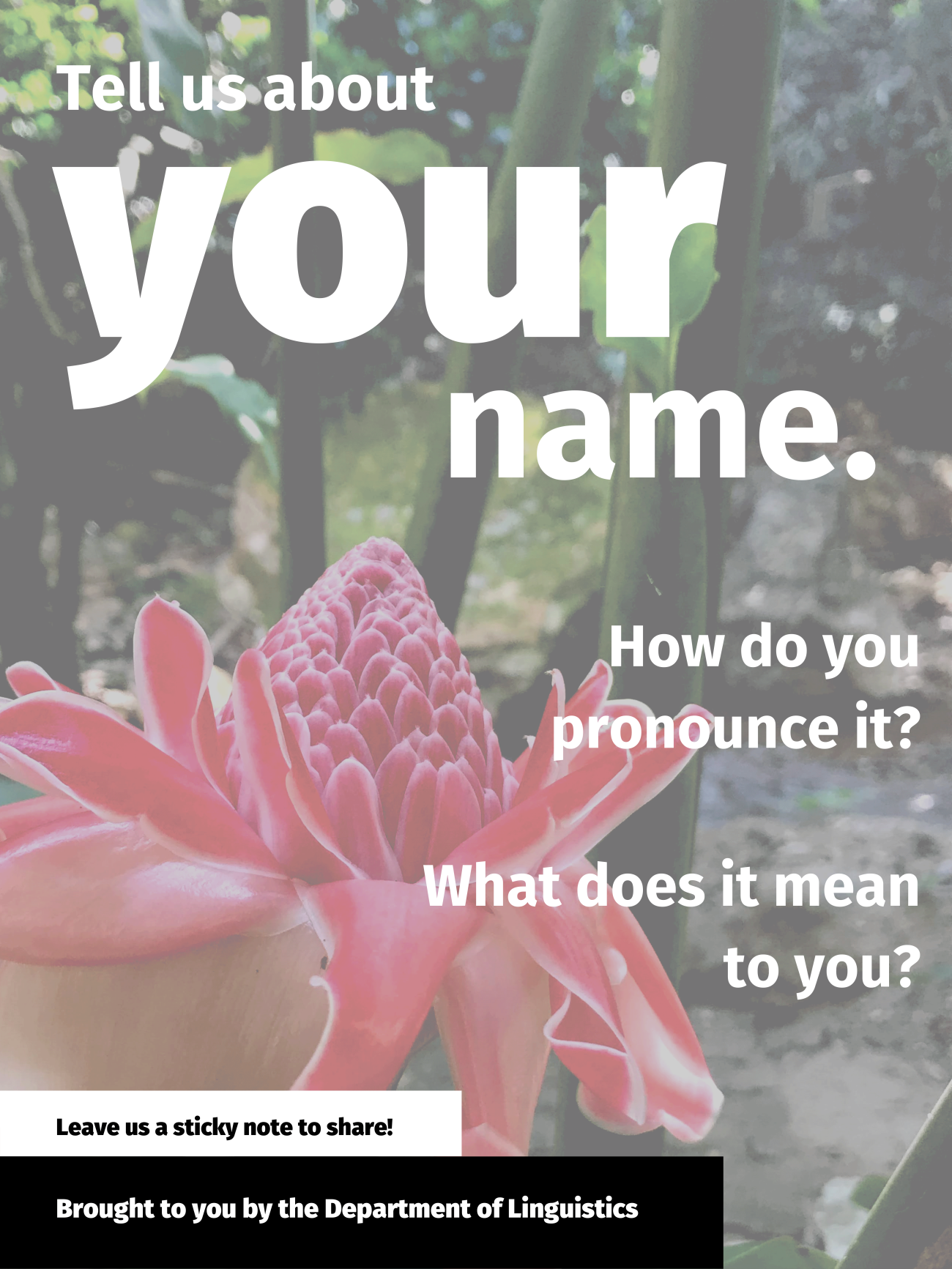 Linguistics Poster. Tell us about your name. See webpage for full description.