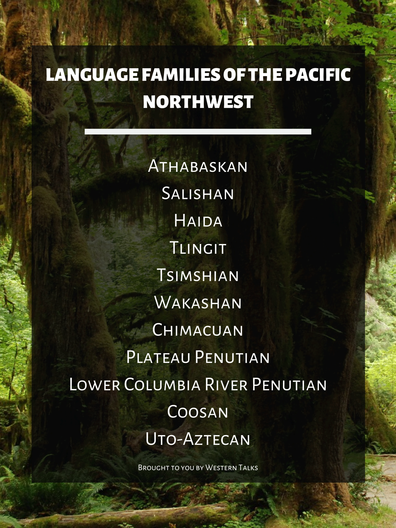 Linguistics Poster. Language Families of the Pacific Northwest. See webpage for full description.