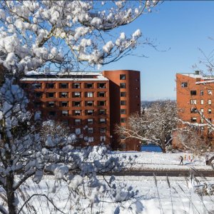 Western campus in the snow.