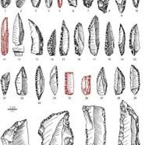 drawings of lithics