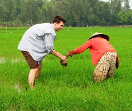 WWU student Michael Dunning learns how to transplant and fill in the gaps of a rice field, Vietnam, 2014