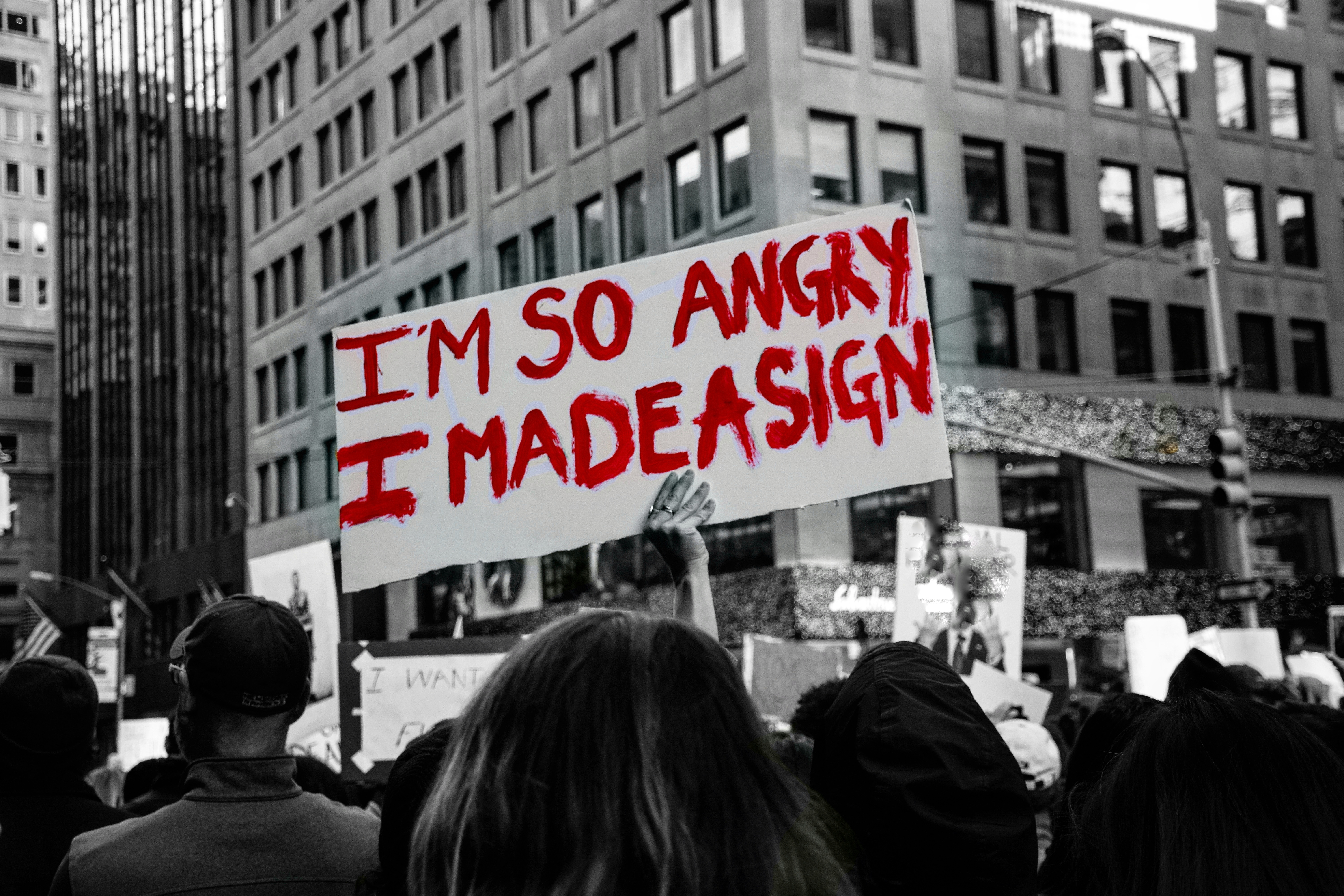 protesters with a sign which reads "I'm so angry I made a sign"